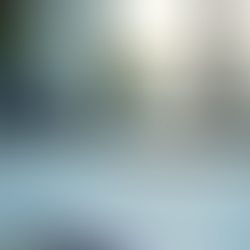 Erfolgreiches Coaching mit Businessradar: Der Schlüssel zu Ihrem Erfolg