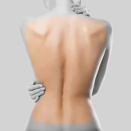 Full Back - Female - 6 Sessions