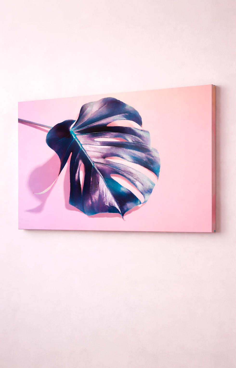 Miniatura: Quadro Decorativo • A Flor e a Sombra