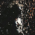 WhatsApp Image 2026-02-12 at 10.57.45.jpeg