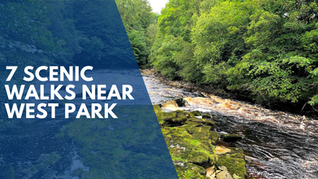 7 Scenic Walks Around West Park and Darlington to Enjoy This Summer