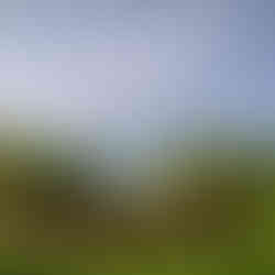 Green Living within Darlington's West Park