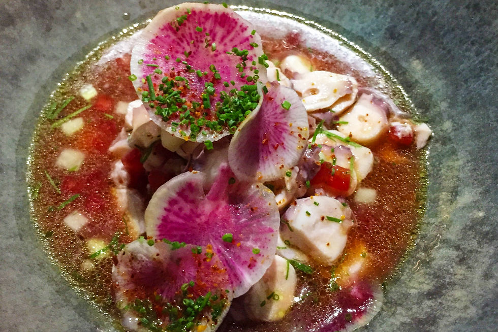 Maximo Bistrot Mexico City