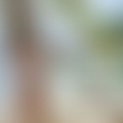 Exploring the Best of Panama from Coast to Coast