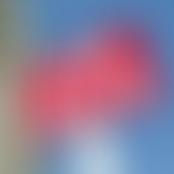 How Much Does it Cost to Sell a House?