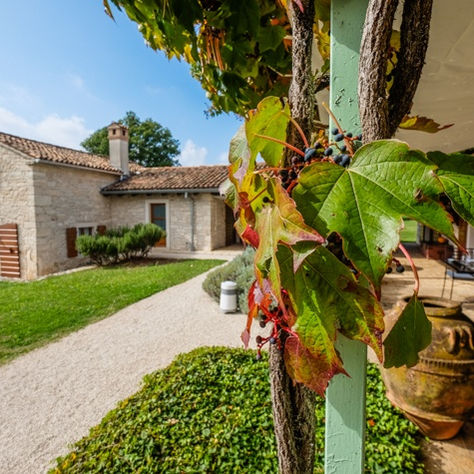 Staying at Villa Meneghetti Wine Hotel in Istria, Croatia