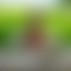 The Solo Female Traveler’s Guide to Bali