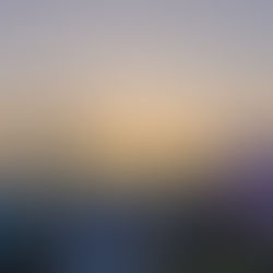 10 Essential Tips for Your First Coachella