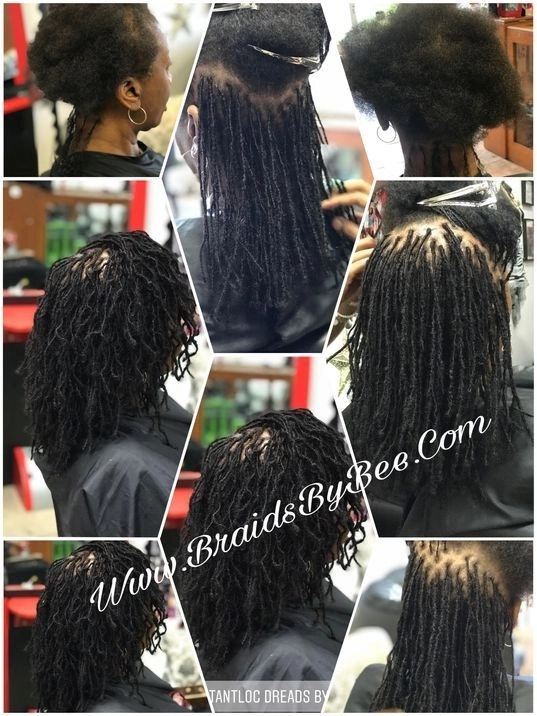 sisterlocs layred.webp