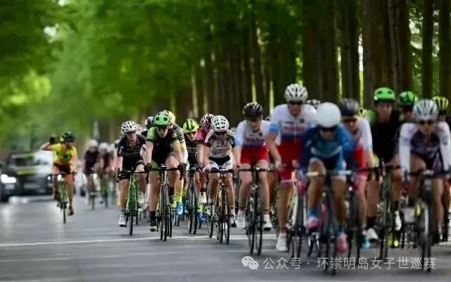 乘风而行,向绿而生:环崇明岛女子世巡赛的往届故事