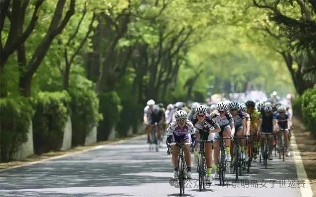 乘风而行,向绿而生:环崇明岛女子世巡赛的往届故事