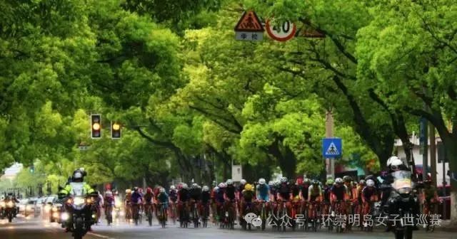 乘风而行,向绿而生:环崇明岛女子世巡赛的往届故事