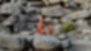 BochtStill20_edited.jpg
