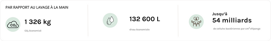Bilan RSE lavage main