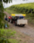 3L2A0160_4x5.jpg