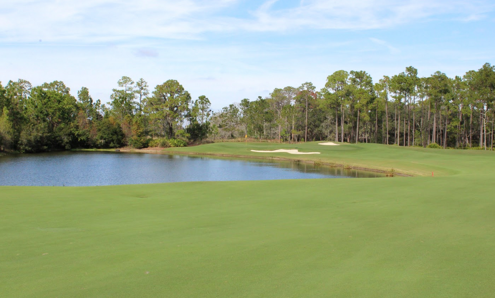 The Concession Golf Club