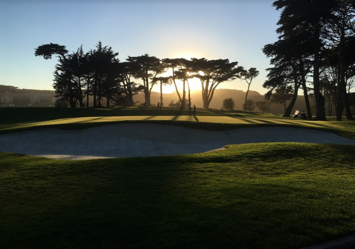 TPC Harding Park