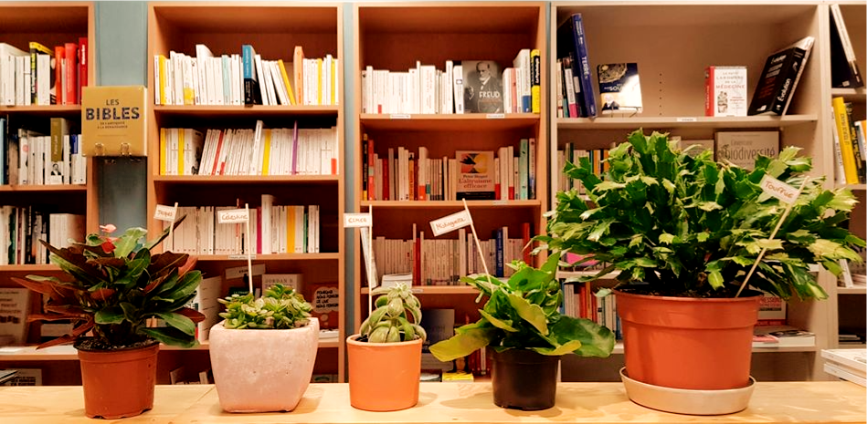 plantes_edited.png