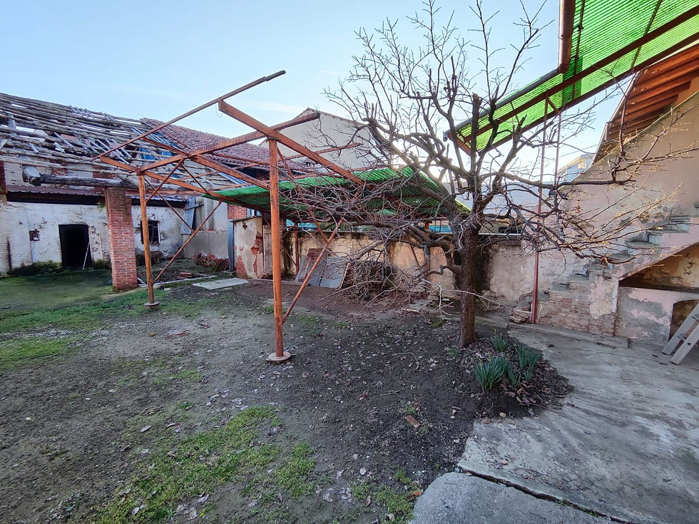 WhatsApp Image 2026-02-24 at 17.59.14 (4).jpeg