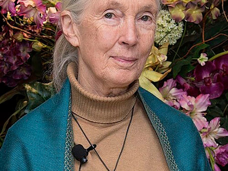 Dr. Jane Goodall