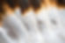 feathers.jpg