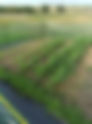 SGU Food Sovereignty Initiative Helps Six Communities Grow Fresh Produce