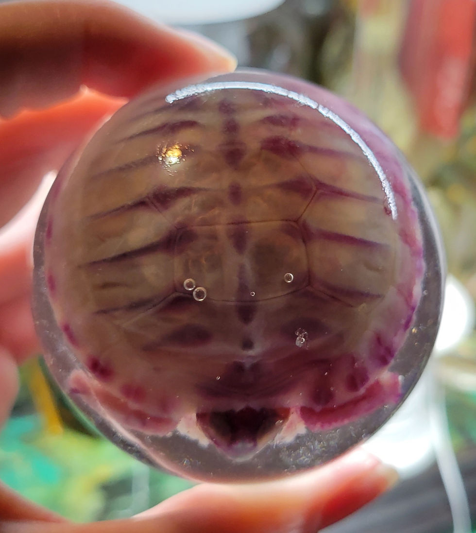 Thumbnail: Diaphonized Sulcata tortoise