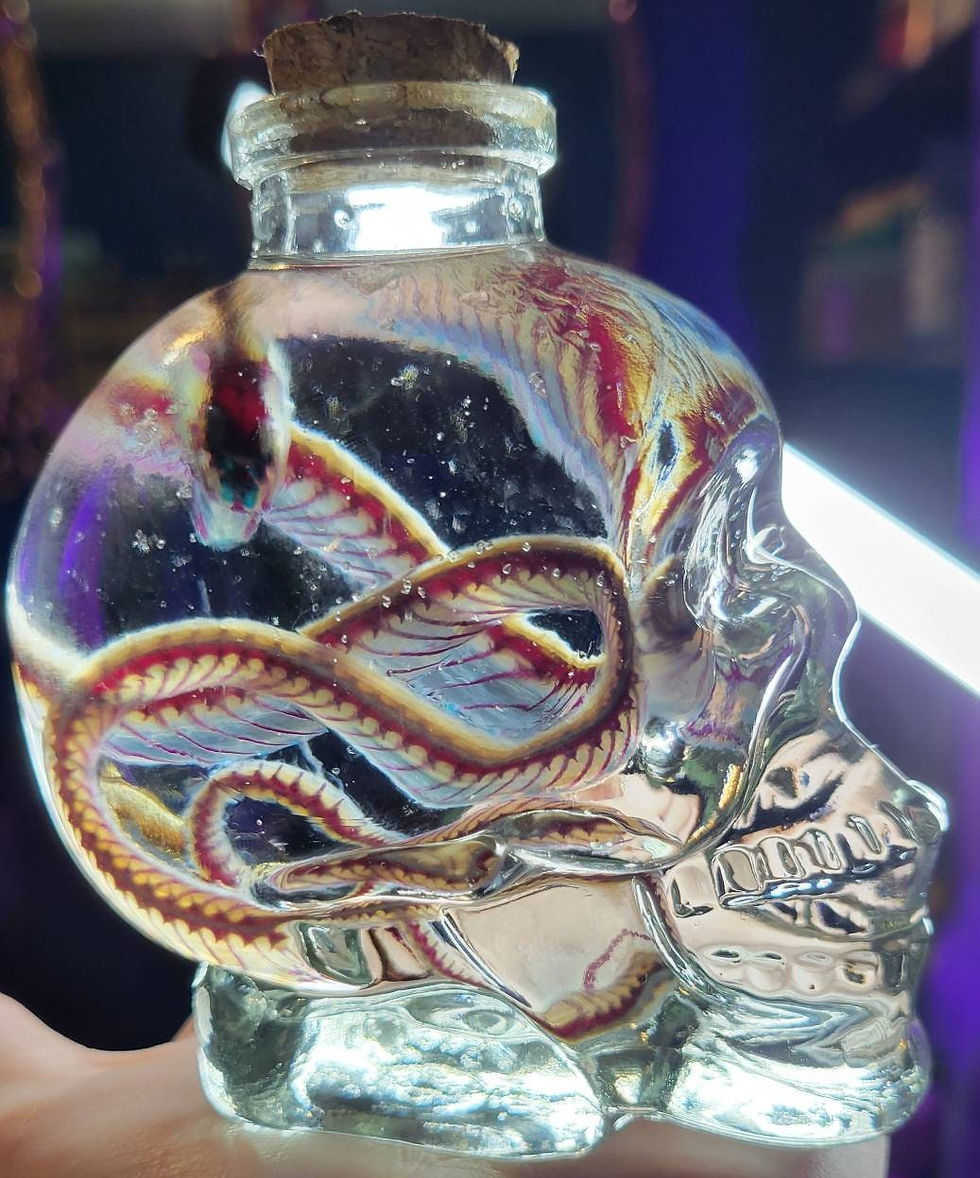 Thumbnail: Diaphonized garter snake in skull