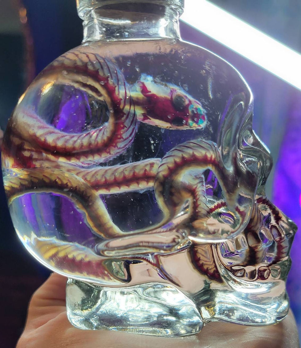 Thumbnail: Diaphonized garter snake in skull