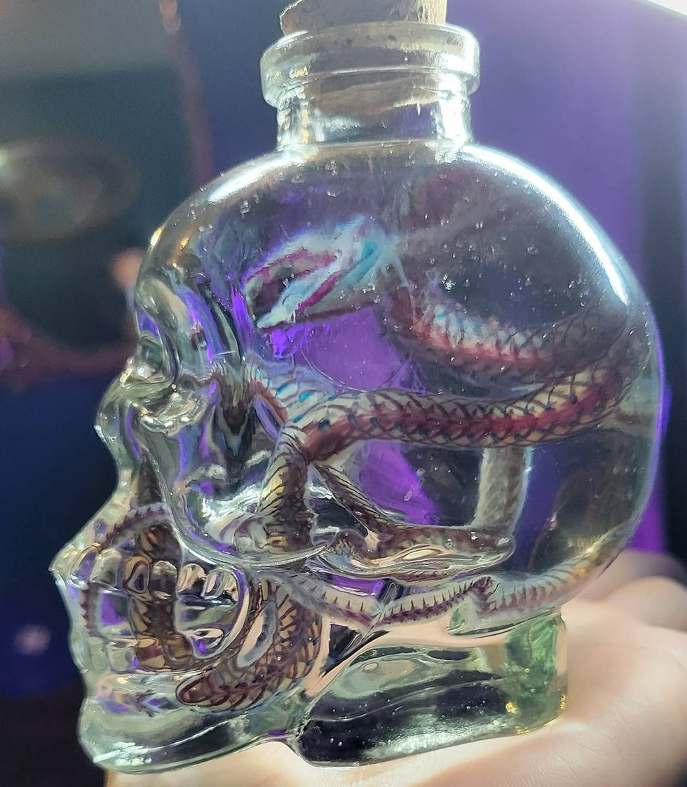 Thumbnail: Diaphonized garter snake in skull