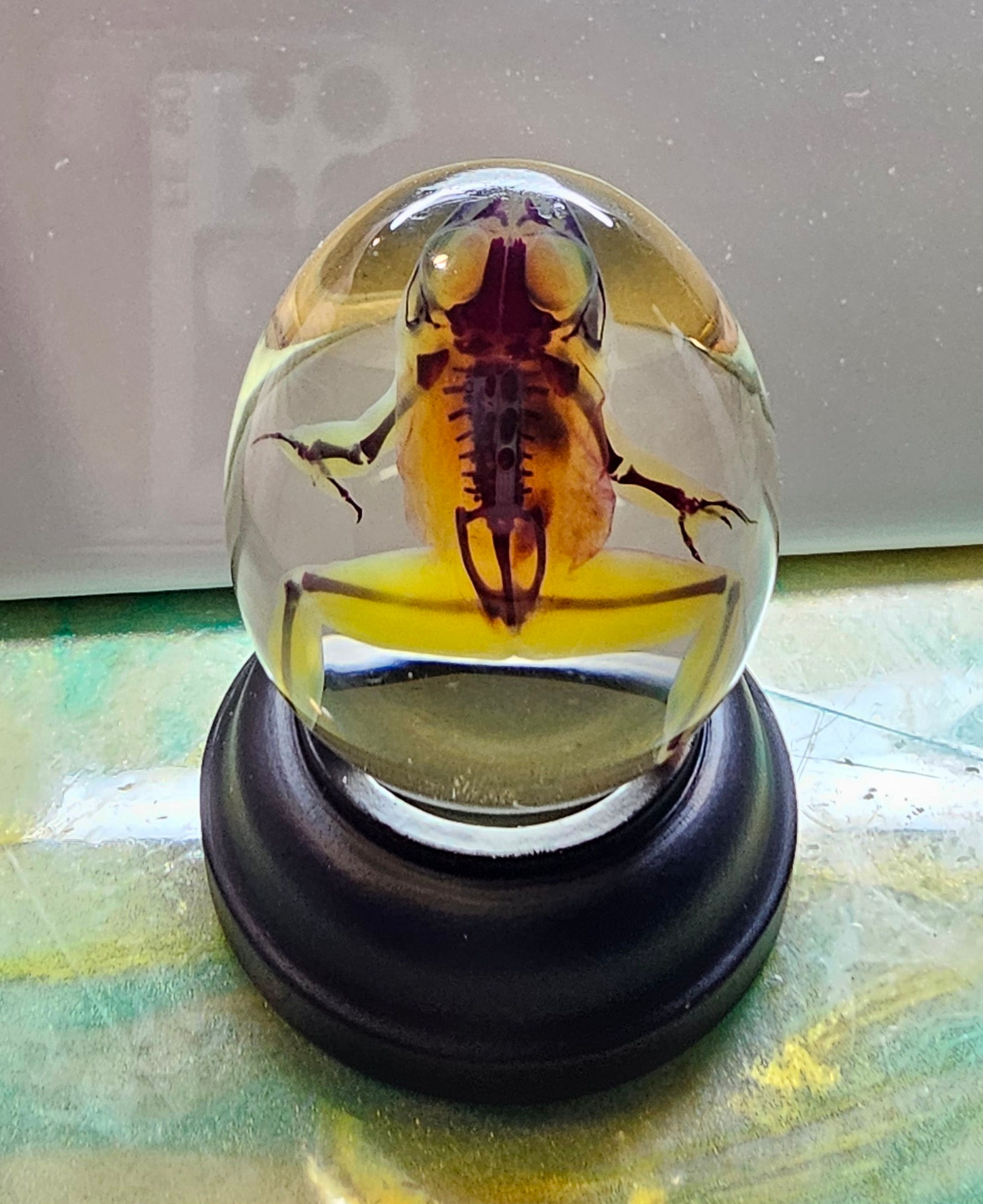 Diaphonized frog 45mm egg