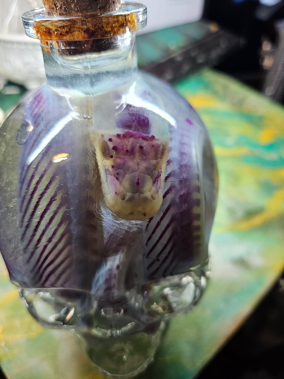 Thumbnail: Diaphonized boa in large skull decanter
