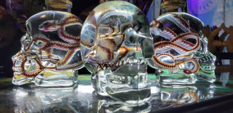 Thumbnail: Diaphonized garter snake in skull