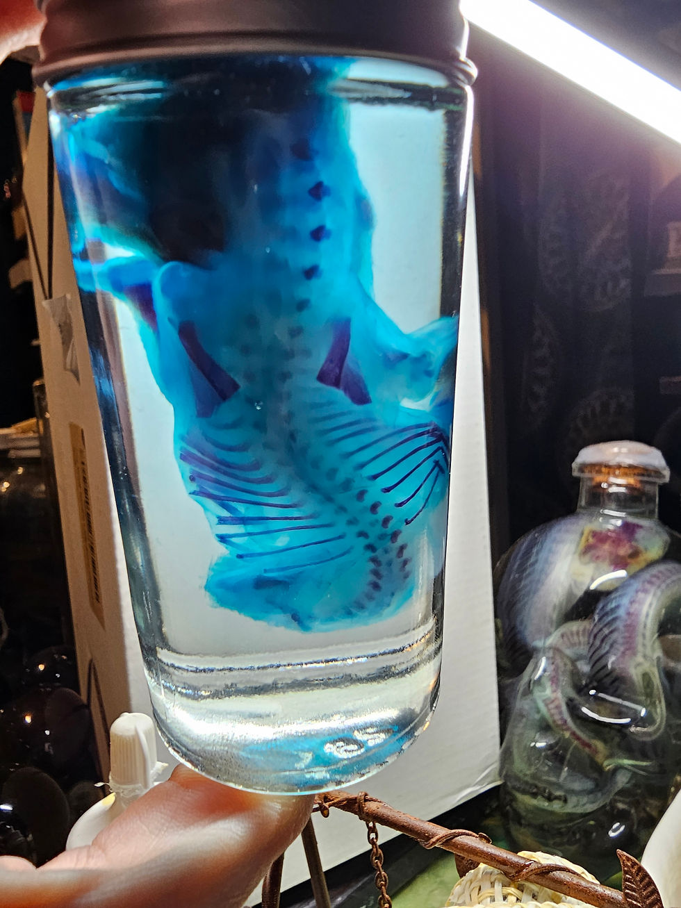 Thumbnail: Diaphonized fetal deer