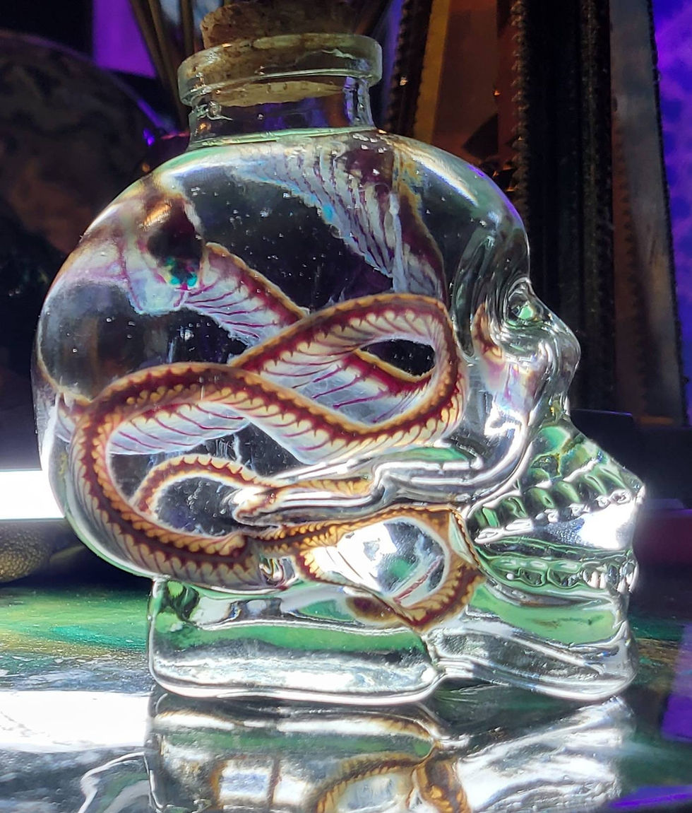 Thumbnail: Diaphonized garter snake in skull