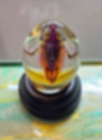 Thumbnail: Diaphonized frog 45mm egg