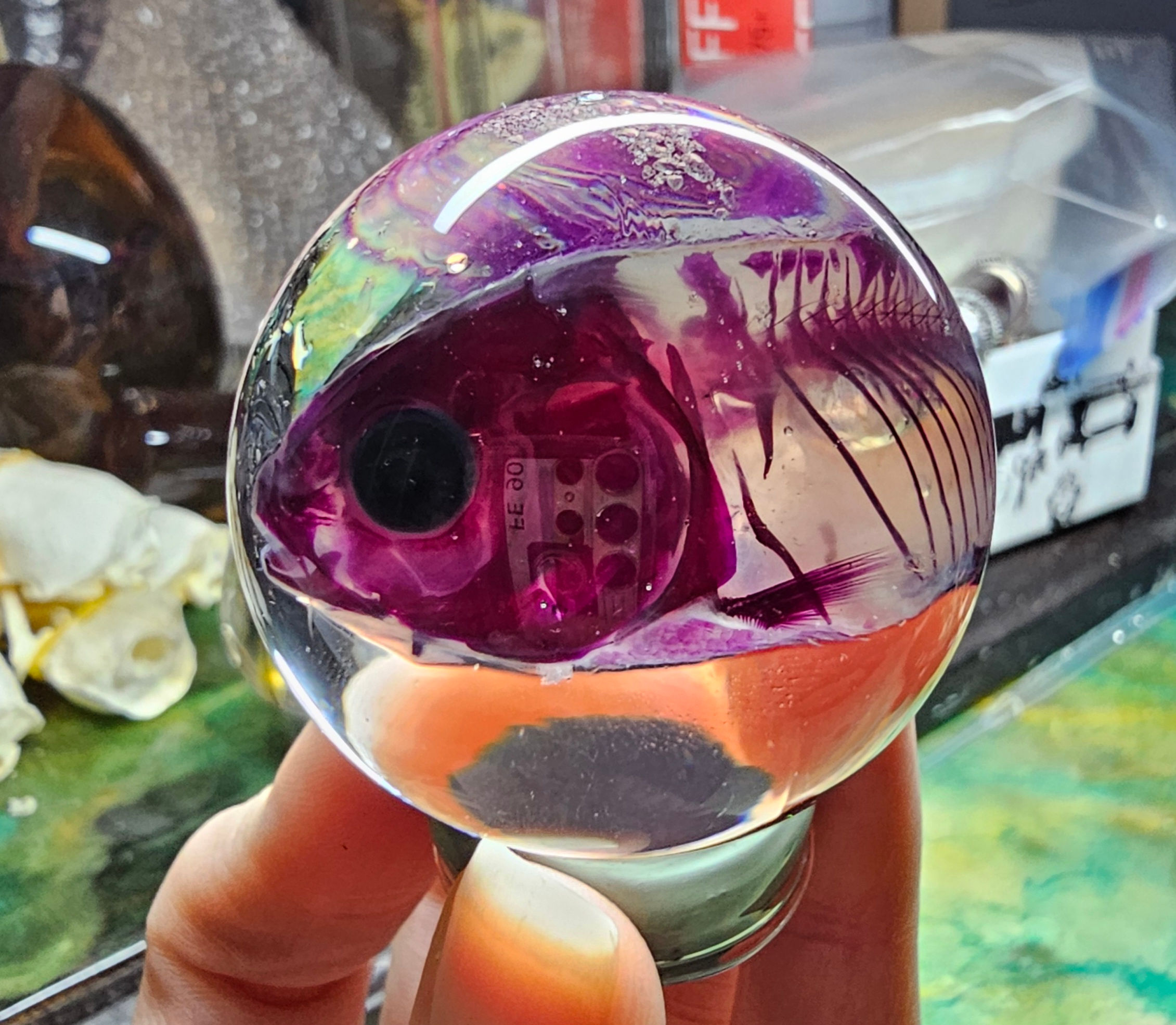 Diaphonized koi
