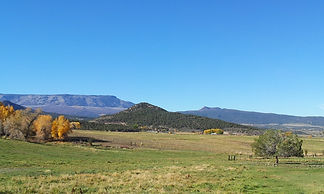 Dinkle Hill 10-20-12 014.1.jpg