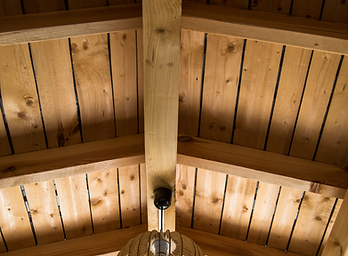 Untitled design (5).png