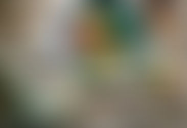 Avocado, Egg & Fig salad