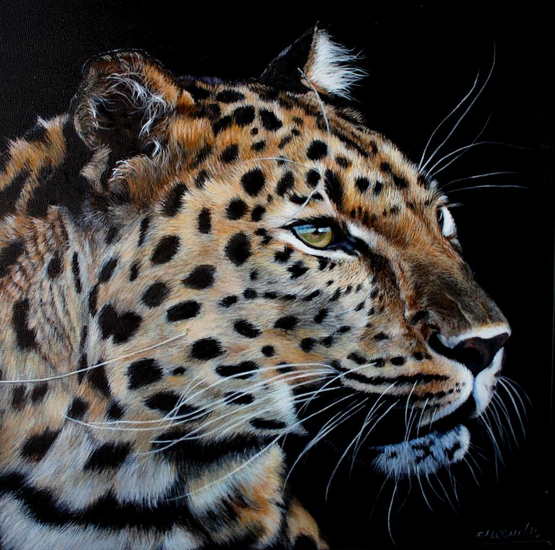 Leopard Face