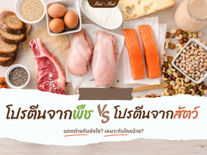 โปรตีนจากพืช vs โปรตีนจากสัตว์ ต่างกันยังไง อันไหนเหมาะกับใคร