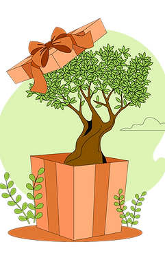 geef een boom cadeau