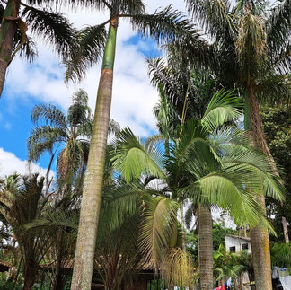 Clínica de Recuperação e Reabilitação Zona Sul - SP