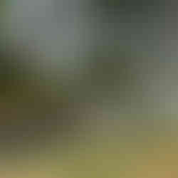 Clínica de Recuperação e Reabilitação Suzano - SP Feminina