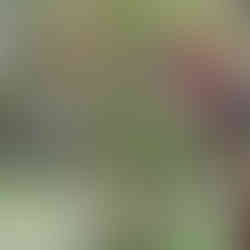 Clínica Recuperação e Reabilitação Mogi das Cruzes Feminina