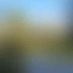 Clínica de Recuperação e Reabilitação Embu Guaçu - SP