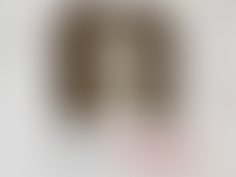 Santa Úrsula Ledóchowska, pertencia a uma família especialmente abençoada!