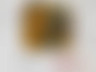 IV dia da Antífona do Ó!