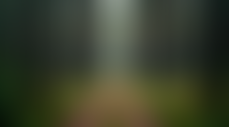 Discover the Best Hiking Trails in the Poconos: Top Pocono Trails for Every Adventurer